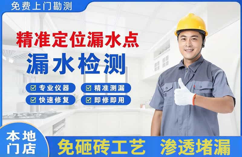 平山精准测漏点